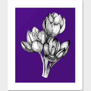 Ink - Crocus Posters and Art